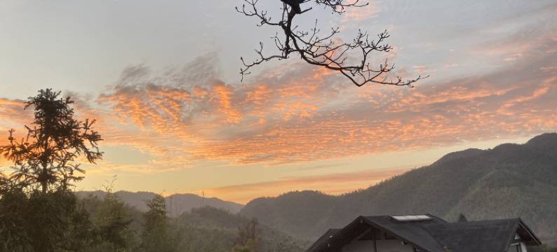 莫干山翠竹园·天真疗愈度假民宿图片