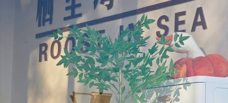 平潭栖里海度假海景民宿(68海里景区店)图片