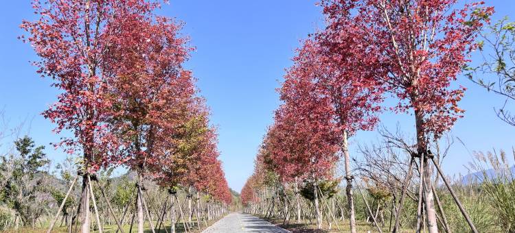 上清·源境民宿(龙虎山景区店)图片