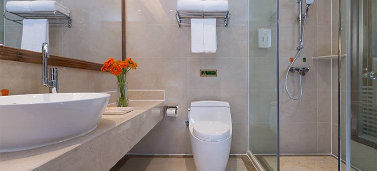 维也纳酒店(佛山九江信基广场店)图片