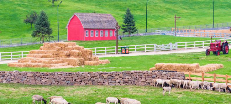 观山宿民宿(云端草原店)图片