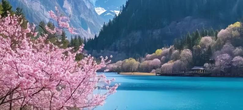 九寨印象·藏韵阁·云上度假美宿图片