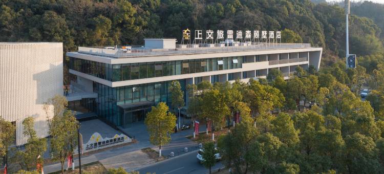 上文旅雷迪森颐墅酒店图片