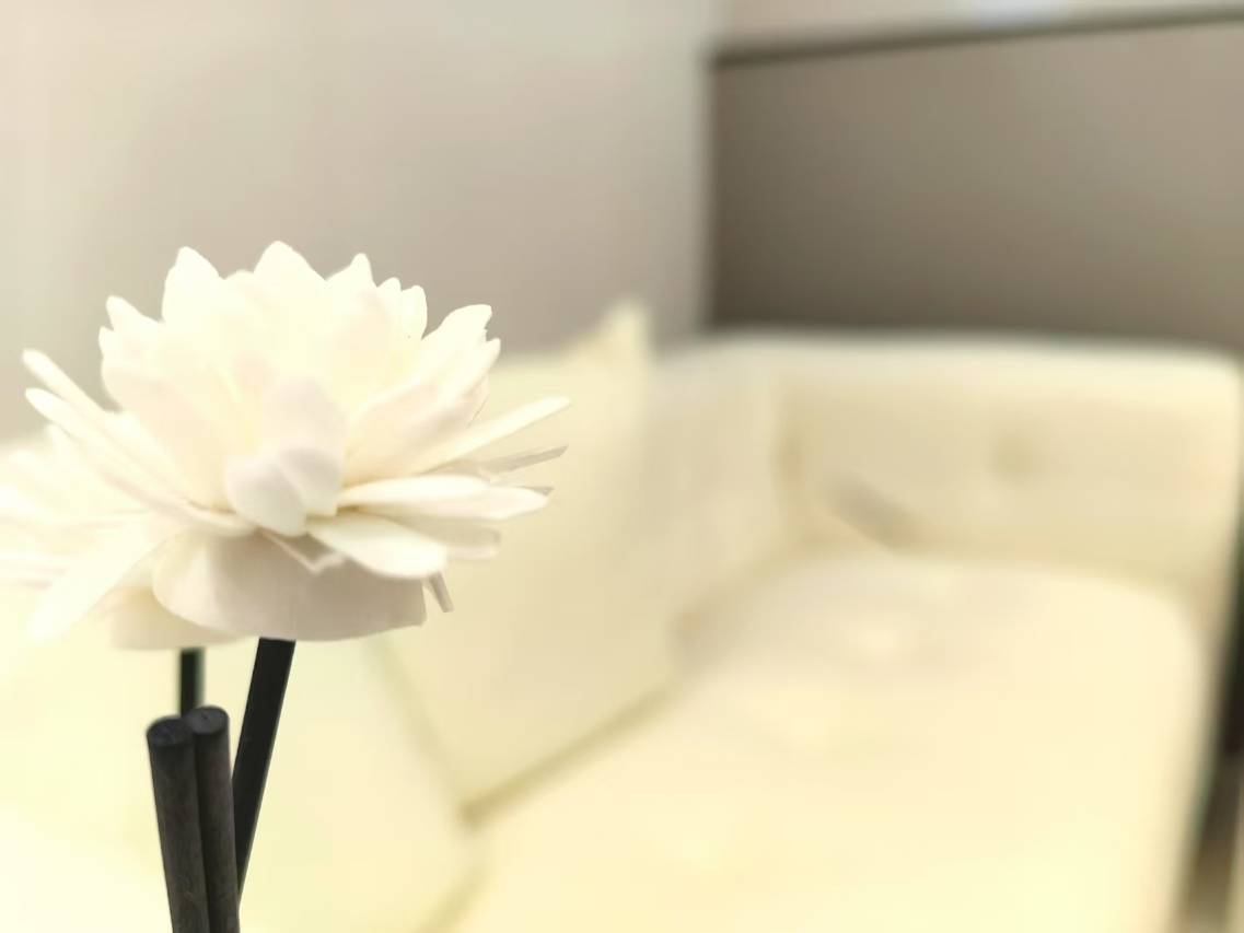 汤旺诚轩智能宾馆图片