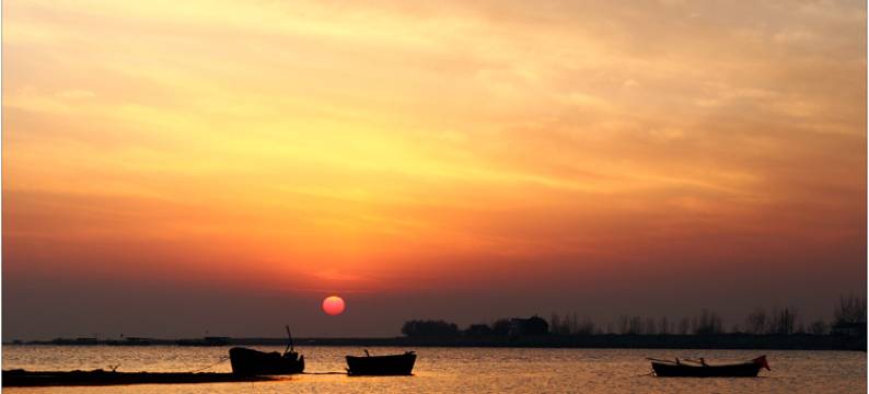 红枫优居酒店(滨湖印象邦泰科技城店)图片