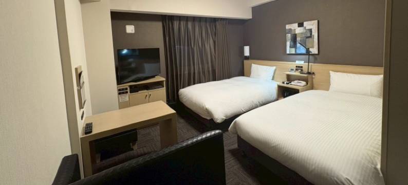 露樱酒店东广岛西条站前店(Hotel Route-Inn Higashihiroshima Saijo Ekimae)图片