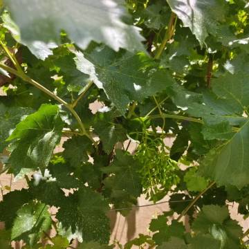 敦煌锦舍年华客栈图片