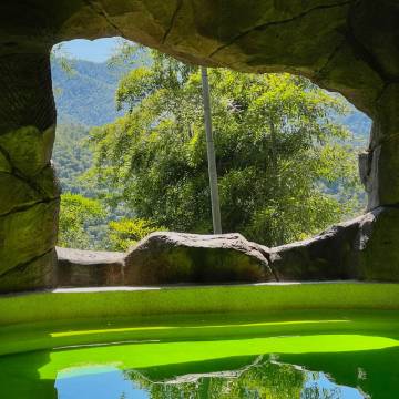 安吉云上草原度假村半山隐竹酒店图片