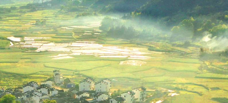 望山生活·巡检司田野度假民宿(婺源严田店)图片