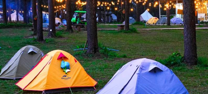 Camping Park Resort by EHM图片