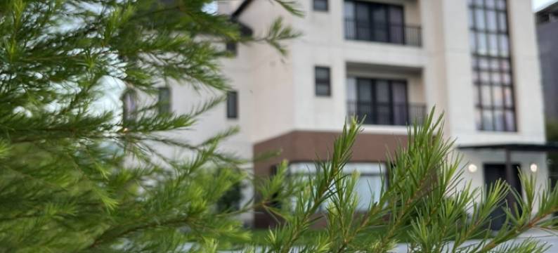 双黄蛋生活空间图片