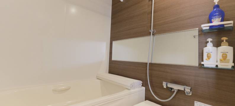 新宿优网公寓(EveryNet Shinjuku)图片