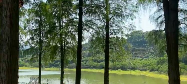 乐昌美尚驿公寓(韶关乐昌人民政府店)图片