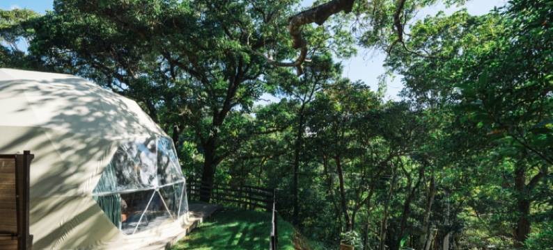GLAMFOREST OKINAWA 名护(GLAMFOREST OKINAWA NAGO)图片