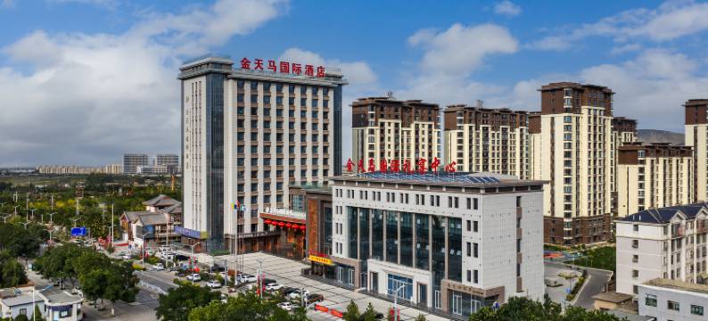 金天马国际酒店图片