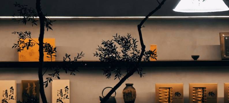 武夷山客来似家茶宿空间(景区南入口店)图片