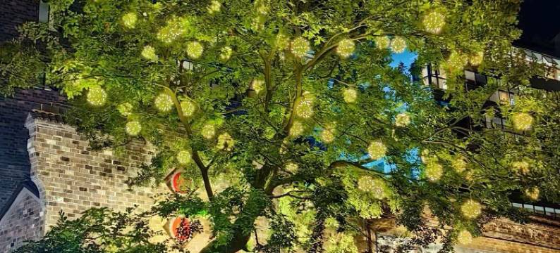 云城边·铂丽｜Modish·UrbanRetreatt酒店(雪湖公园店)图片