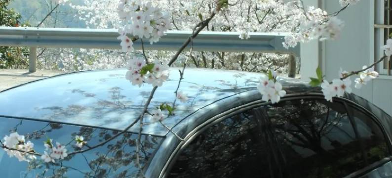 宁波沄野和光·栖霞坑民宿图片