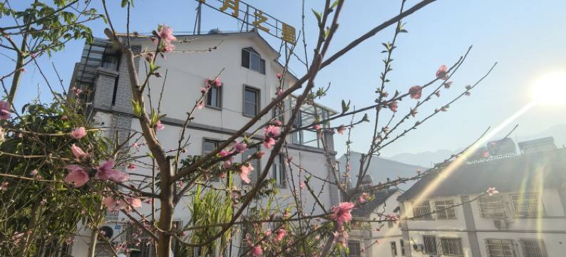 日月之星民宿图片