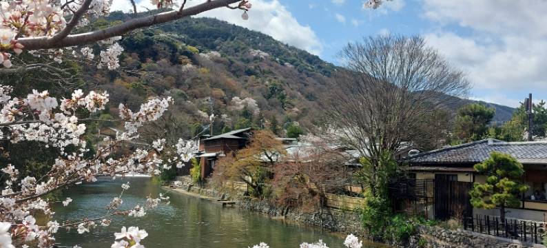 嵯峨岚山比纳里奥酒店(Hotel Binario Saga Arashiyama)图片