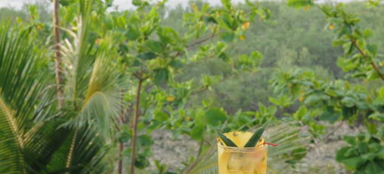 色彩酒店及度假村，锡亚高，由HII管理(Hue Hotels and Resorts Siargao Managed by HII)图片