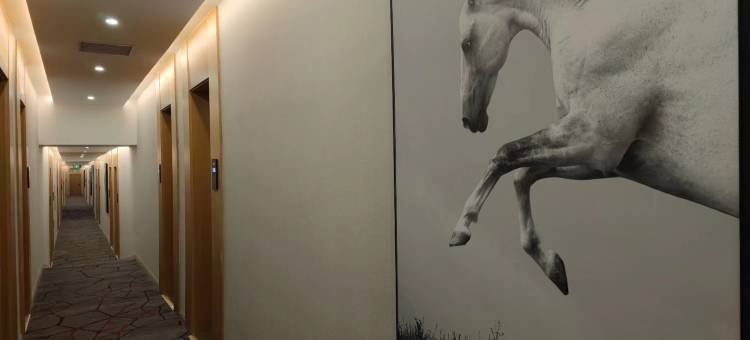 骏怡连锁酒店(乌达民乐商场店)图片