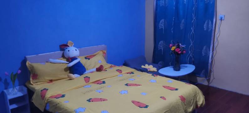 避风港青旅图片