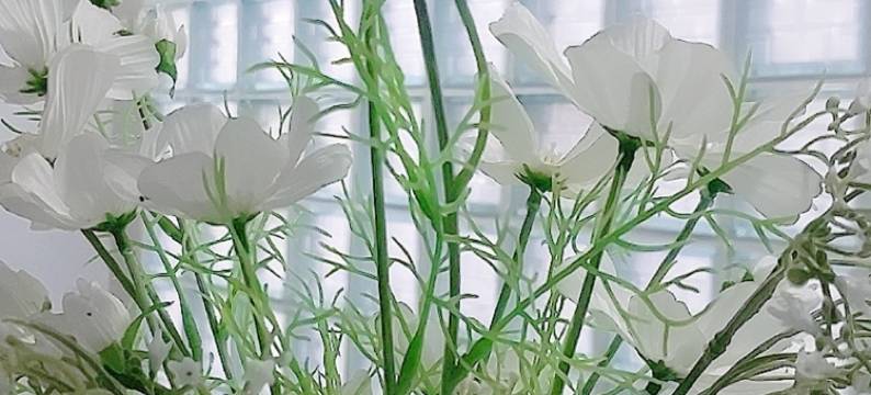 灰姑娘住宅(Cinderella Residence)图片