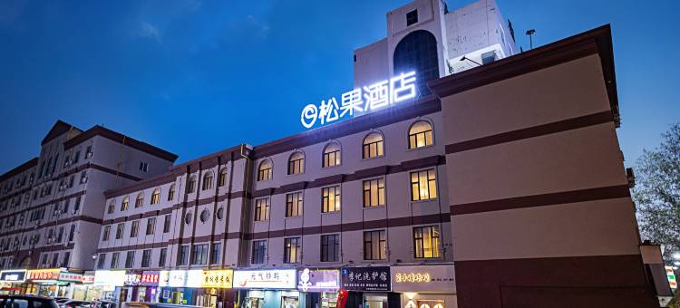 松果酒店(安阳人民大道六中店)图片