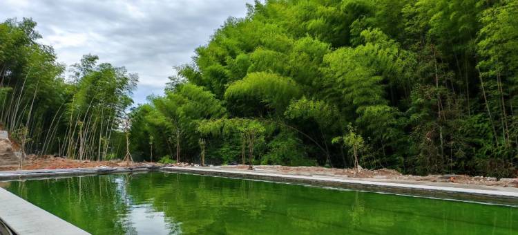 泰顺书香闲居民宿图片