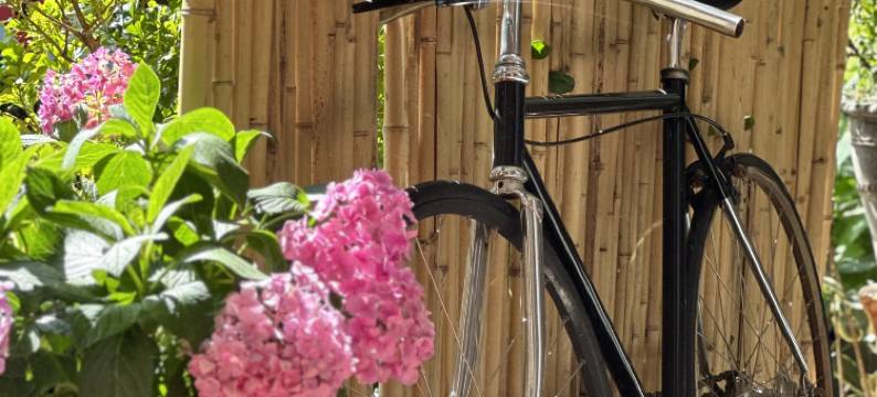 大理会庐尺八精舍图片