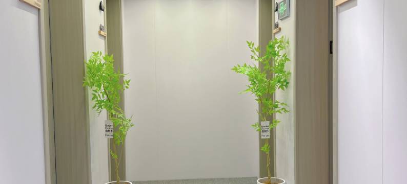 晚风民宿(十字街洛邑古城店)图片