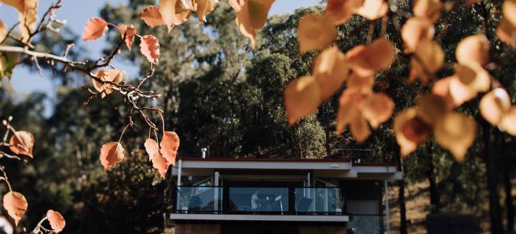 阿拉鲁恩雅拉谷山林小屋(Araluen Lodge Yarra Valley)图片
