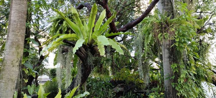 萨瑞维恩平酒店-清迈(Sareeviengping Hotel Chiangmai)图片