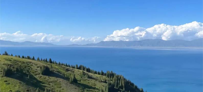 霍城丽湾酒店(清水河店)图片