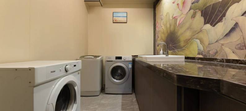 天津龙禧盛精品酒店(天津西站店)图片