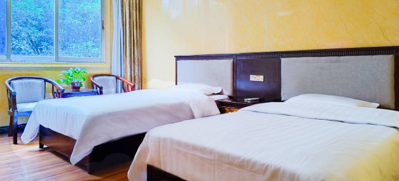 龙胜大天鹅宾馆图片