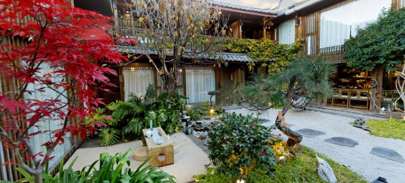 丽江古城狼穴·猫的秘密花园·Barista庭院咖啡美宿(五一街店)图片