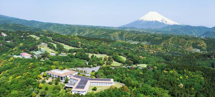 伊豆修善寺万豪酒店(Izu Marriott Hotel Shuzenji)图片