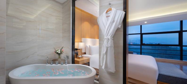 深圳雅庭丰年酒店(宝龙地铁站坪山高铁站店)图片