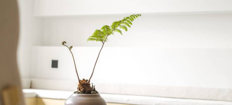 枫林晚居之家庭院(高铁站弦高古城店)图片