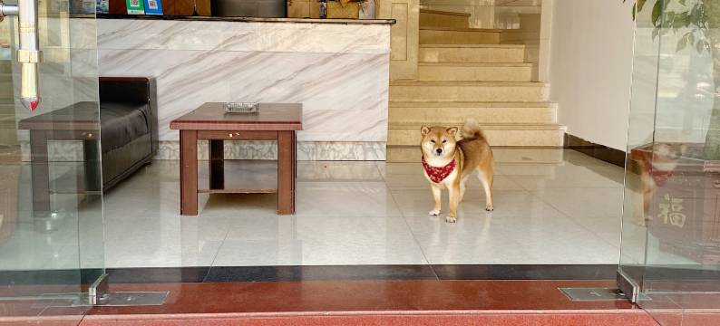 淳安佳人酒店图片