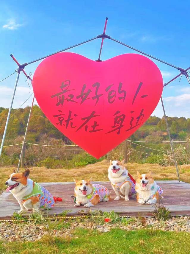 新茂·田园雅居(渭南大荔店)图片