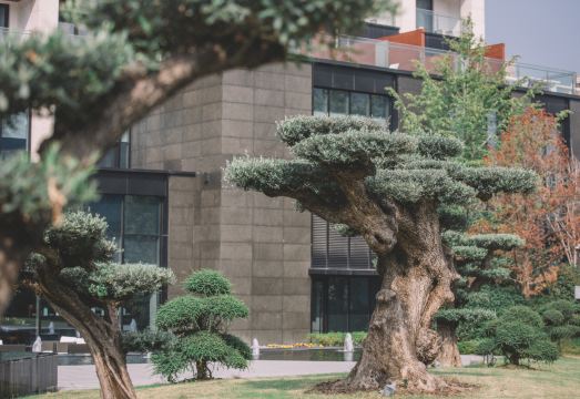 The Anandi Hotel & Spa ShanghaiHotel Overview