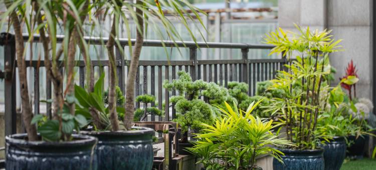 Urban Garden都市花园酒店(重庆江北国际机场店)图片