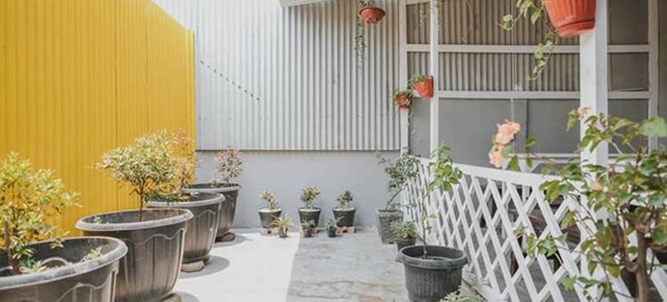 泰克宾馆1号(Take Guesthouse 1)图片