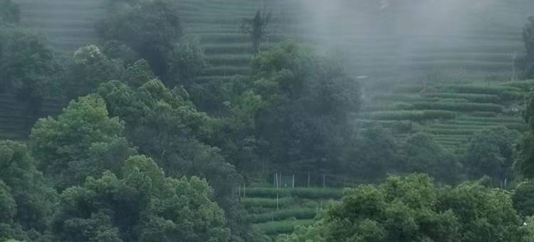 杭州春隐·春山可望酒店(西湖风景区店)图片