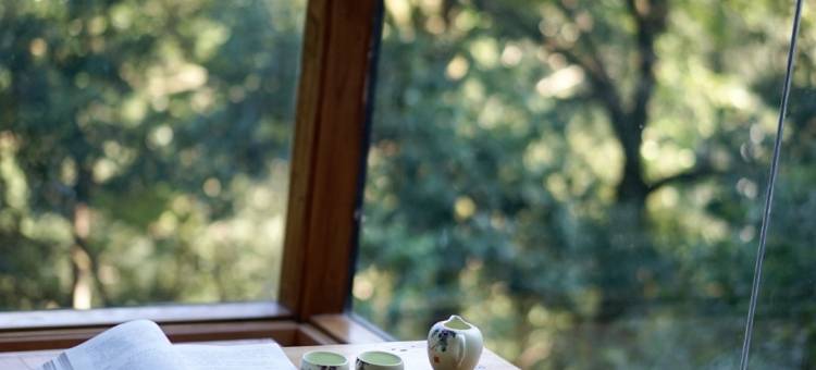 花筑奢·黄山苦株树故事民宿图片