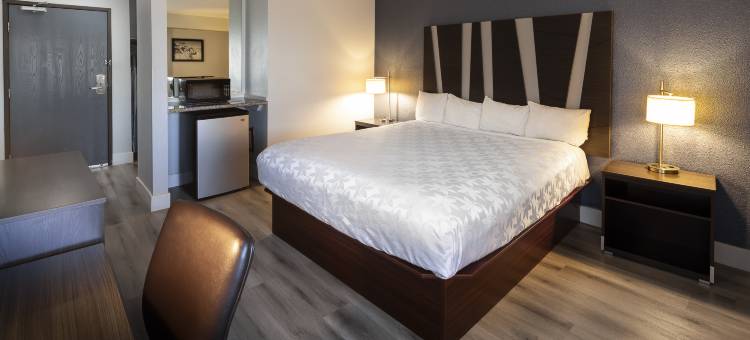 伯克利/埃尔瑟瑞托速8酒店(Hotel Mira Vista)图片