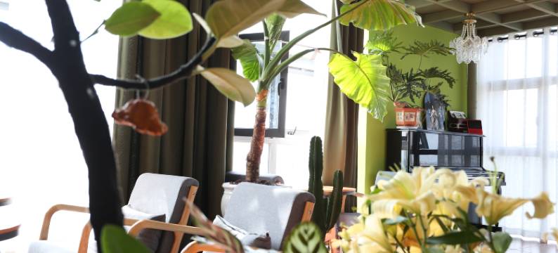 昆明七喜海景酒店(斗南花市店)图片